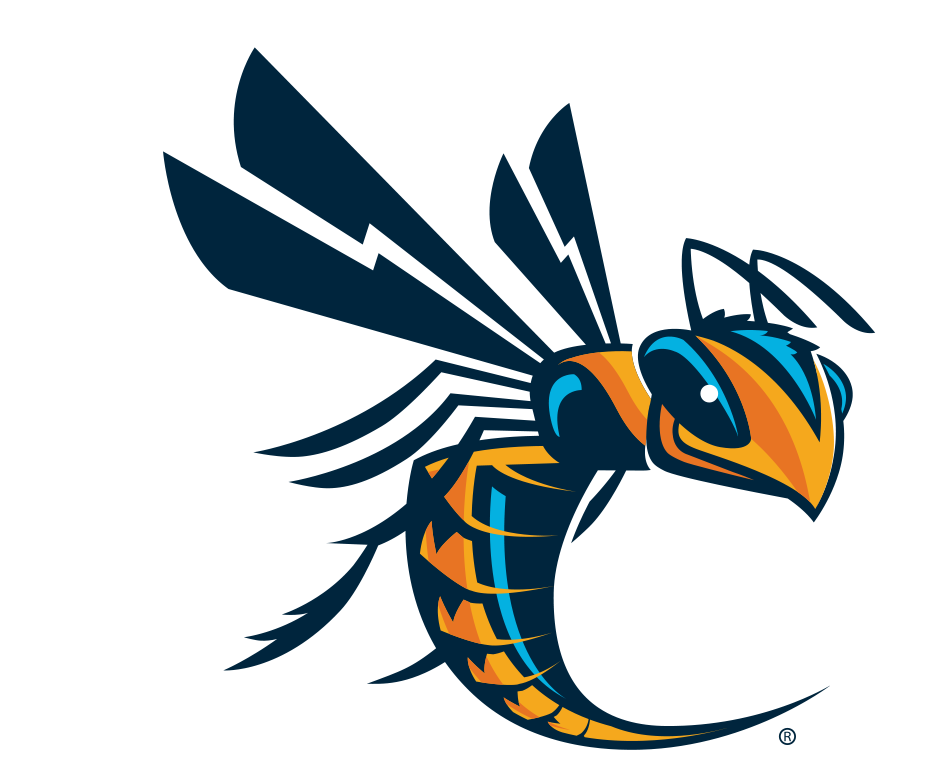 Cedarville Golf Camps